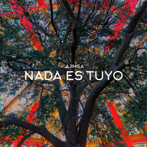 AJIMSA: Nada Es Tuyo