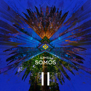 AJIMSA: Somos II