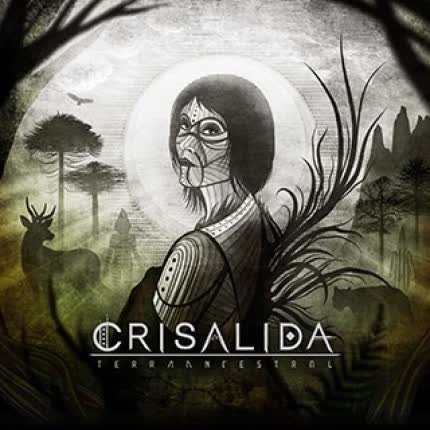 CRISALIDA: Violeta Gris
