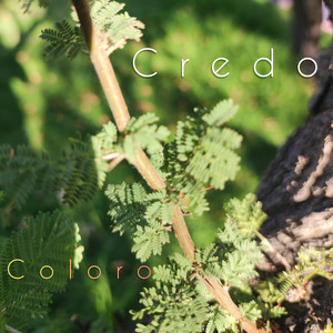 COLORO: Credo