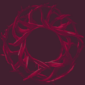 CORONA DE ESPINAS: corona de espinas