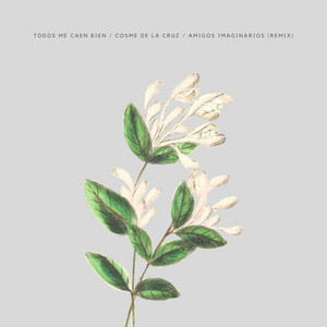 COSME DE LA CRUZ: Amigos Imaginarios (Remix)