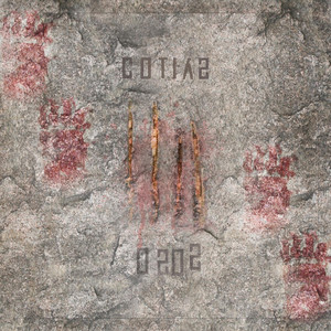 COTIAS: Osos