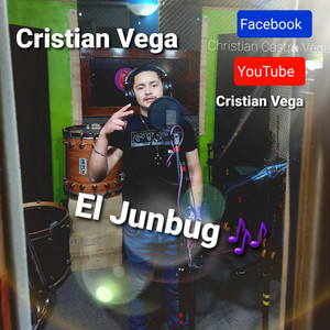 CRISTIAN VEGA: El junbug