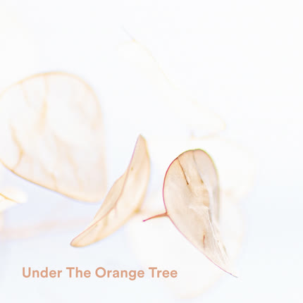 CUCU CANTABA LA RANA: Under The Orange Tree
