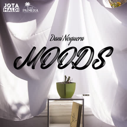DANI NOGUERA & HOODBOY: Moods