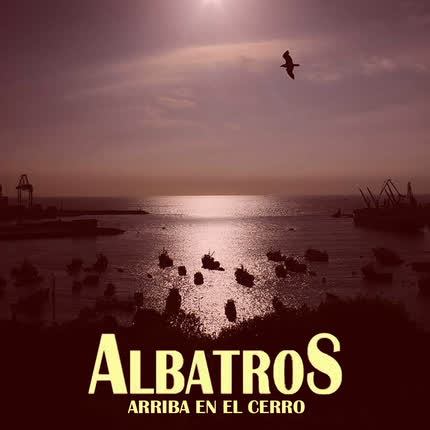 ALBATROS: Arriba en el Cerro