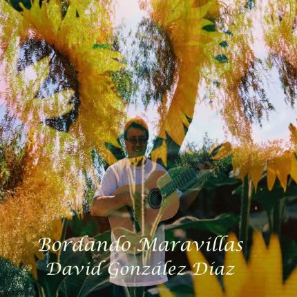 DAVID GONZALEZ DIAZ: Bordando Maravillas