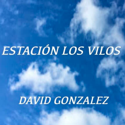 DAVID GONZALEZ DIAZ: Estación Los Vilos