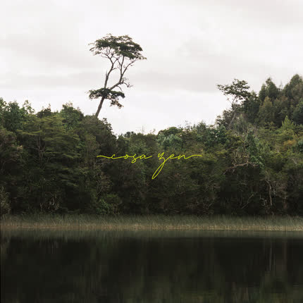DEBAC: Cosa Zen
