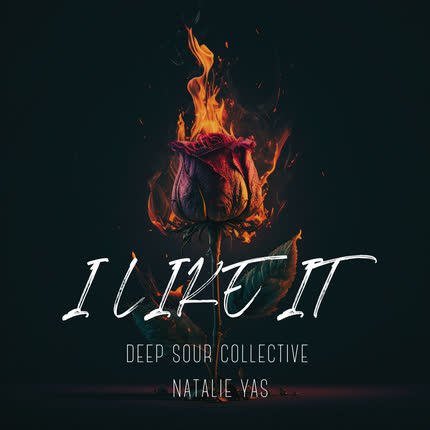 DEEP SOUR COLLECTIVE: I Like It