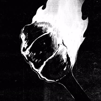 DEMENTIRA: Antorcha
