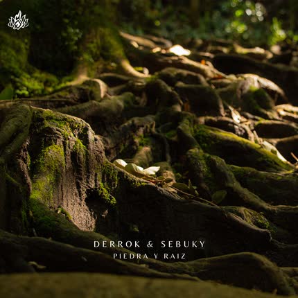 DERROK & SEBUKY: Piedra y Raíz