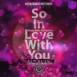 DEEP SOUR COLLECTIVE: So In Love With You (T. Tommy Remix, Pt. 2)