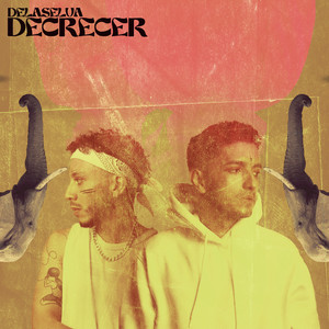 DELASELVA: Decrecer