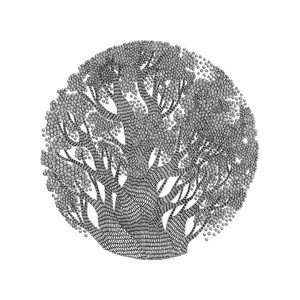 DESPEJADO: Un Bosque Nuevo