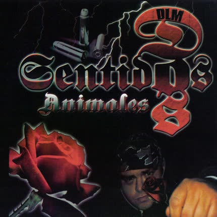 DOSENTIDOS: Animales