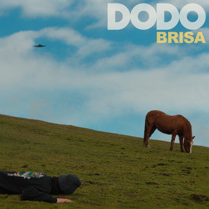 DODO: Brisa