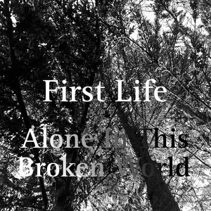 DRYFIRES: Alone In This Broken World