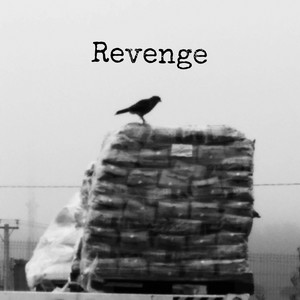DRYFIRES: Revenge