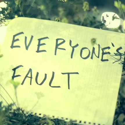 EDGAR VAN DE WINGARD: Everyone´s Fault