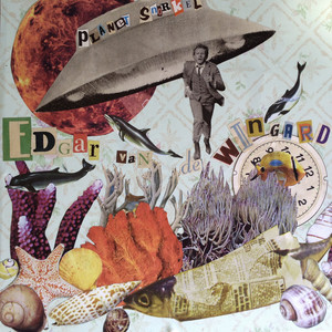 EDGAR VAN DE WINGARD: Planet Snorkel