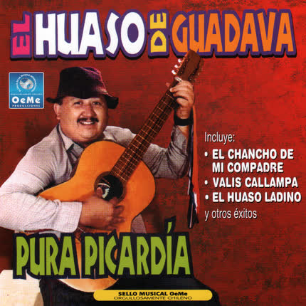 EL HUASO DE GUADAVA: Pura Picardia