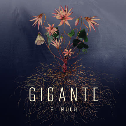 EL MULU: Gigante