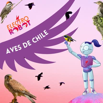 ELECTROROBOT: Aves de Chile