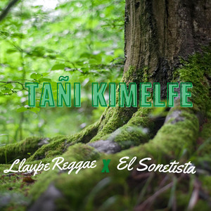 EL SONETISTA: Tañi Kimelfe