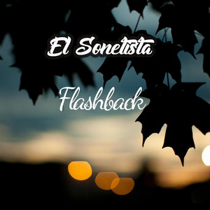 EL SONETISTA: Flashback