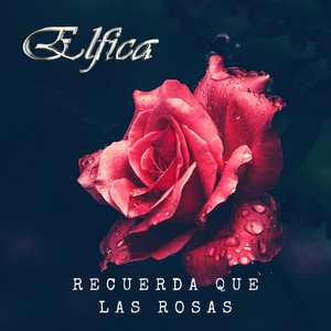 ELFICA: Recuerda Que Las Rosas