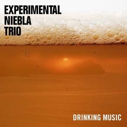 EXPERIMENTAL NIEBLA TRIO: Drinking Music