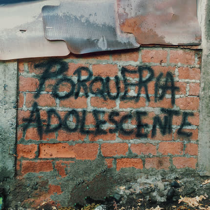 FALSO MUSICO: Porquería Adolescente