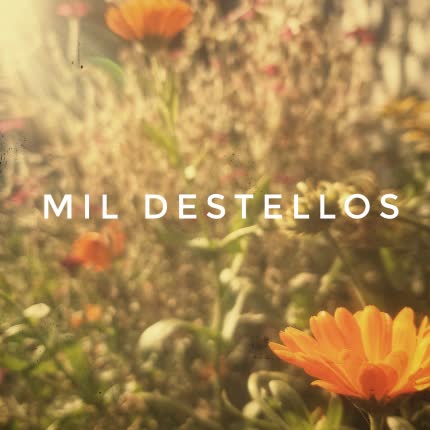 FANTOCHE: Mil Destellos