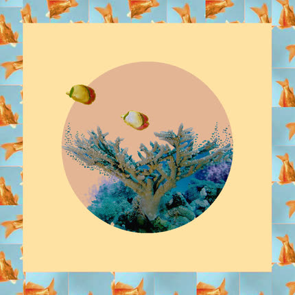 FLORA: Microclima
