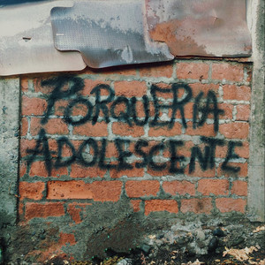 FALSO MUSICO: Porquería Adolescente