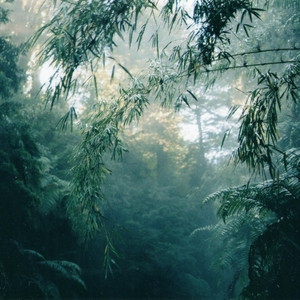 FANTASNA: Nsnc