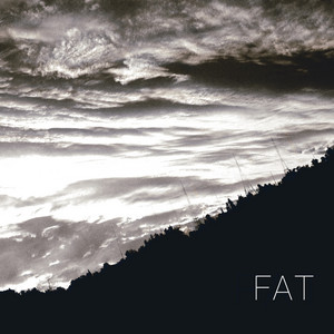 FATRIO: FAT