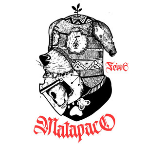 FEIS6: Matapaco