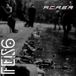 FEIS6: Esto No A.C.A.B.a