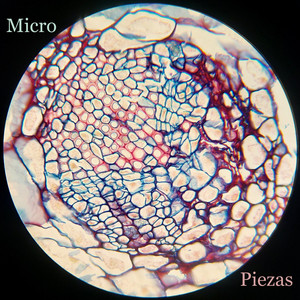 FELIPE ESPINOZA: Micro Piezas I