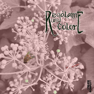 FELIPE PORFLITT: Regálame un Color