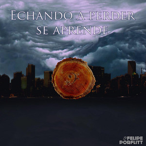FELIPE PORFLITT: Echando a Perder Se Aprende