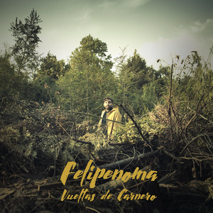 FELIPENOMA: Vueltas de Carnero