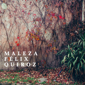 FELIX QUIROZ: Maleza