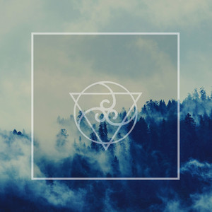 FERMUSIC: Night Forest