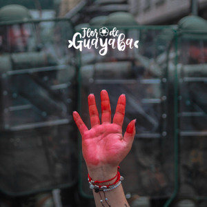 FLOR DE GUAYABA: No Me Voy a Callar
