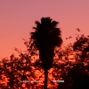 FOLTZONE: Electric Mischief