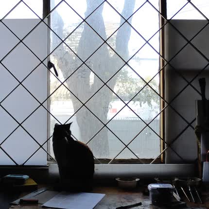 FRANCISCO SILVA TORREALBA: 18 Días